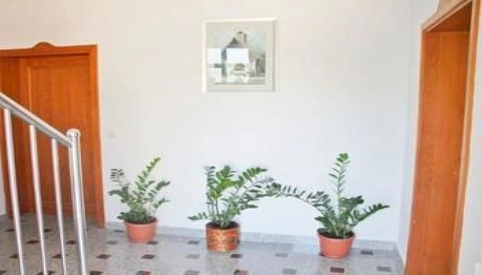 Apartments Dario