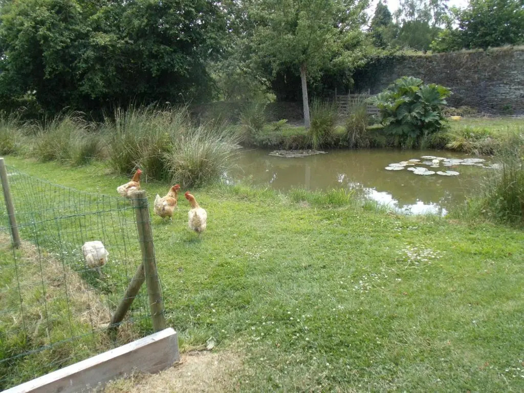 LE TERTRE