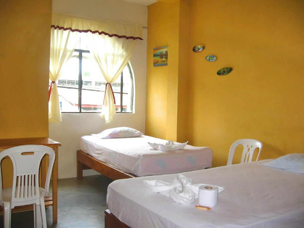 Amazon House Hostel