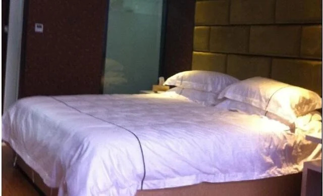 Longquan Longcheng Boutique Hotel