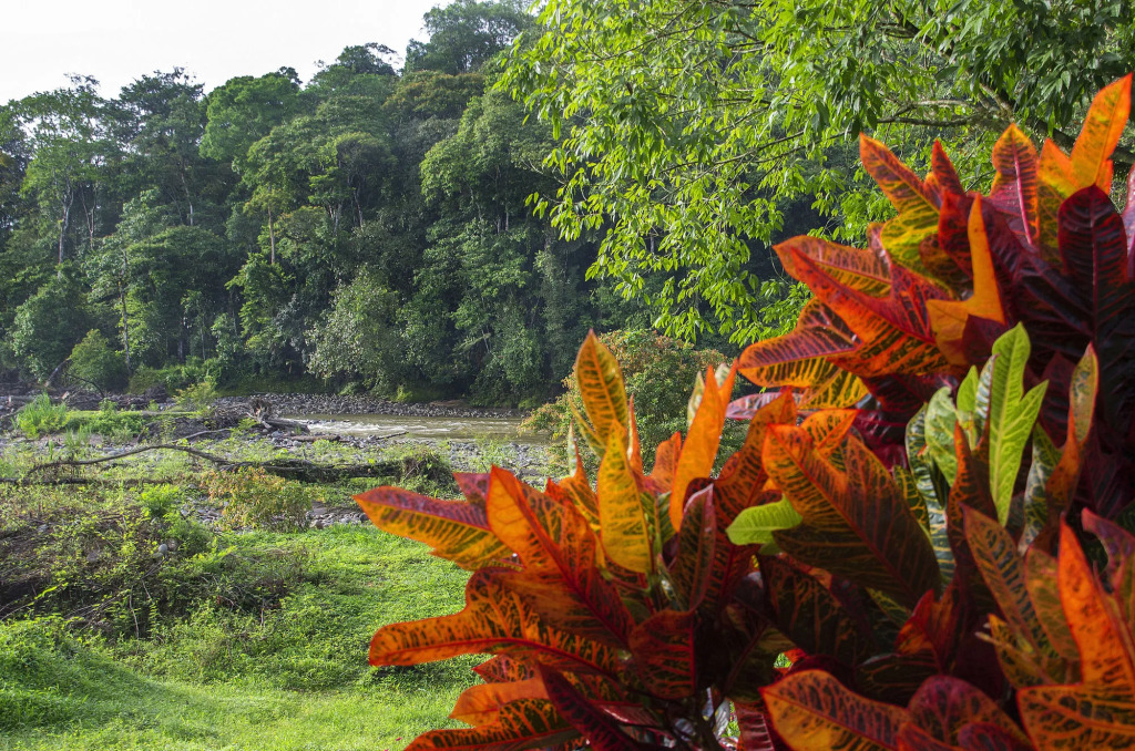 Selva Verde Lodge