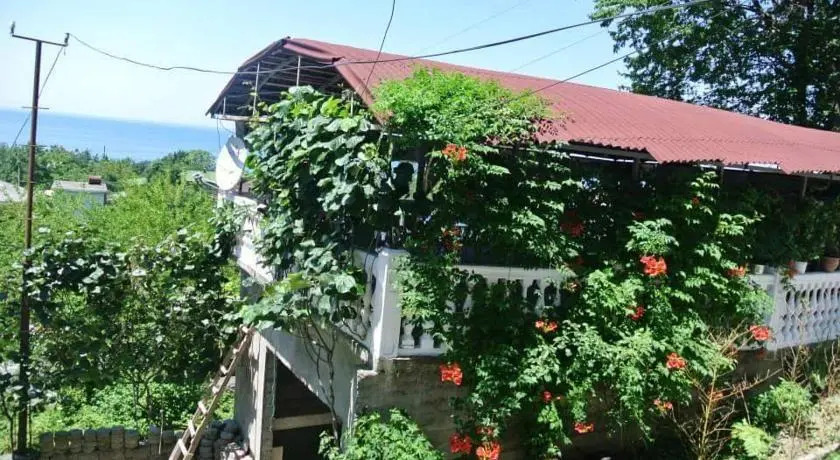 Hotel Badu