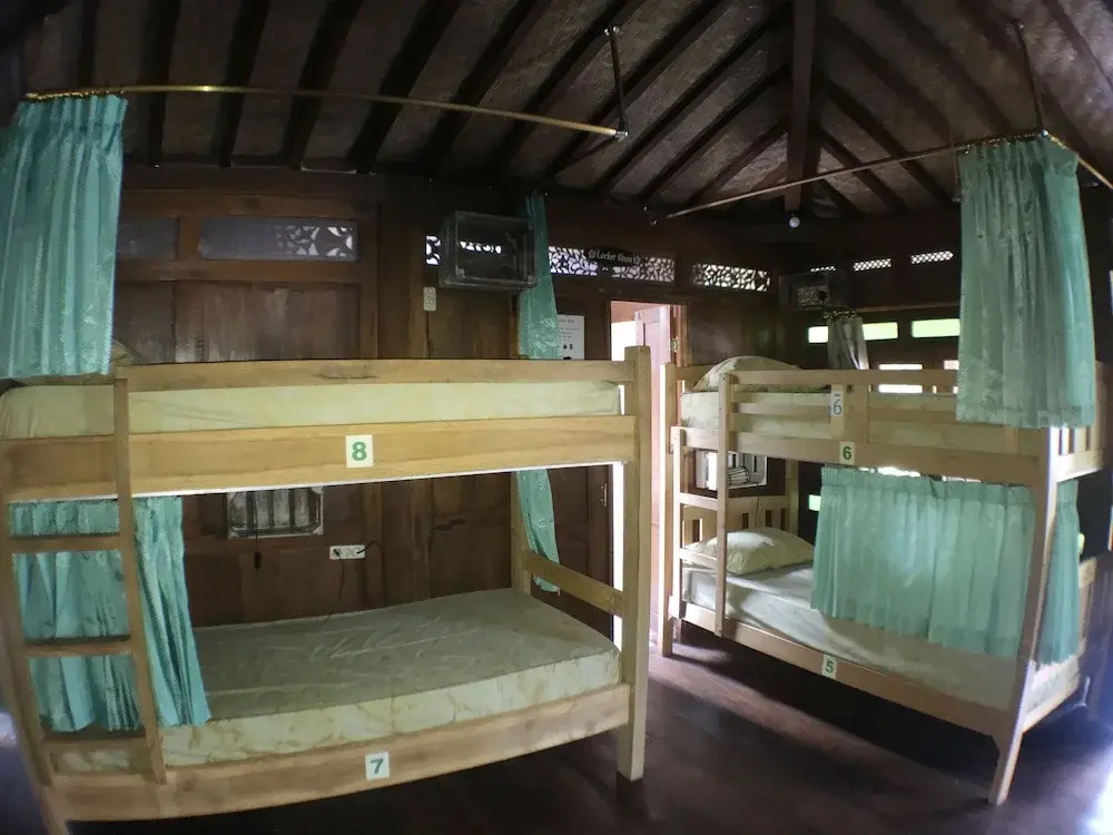 Green Paddy Hostel & Villa