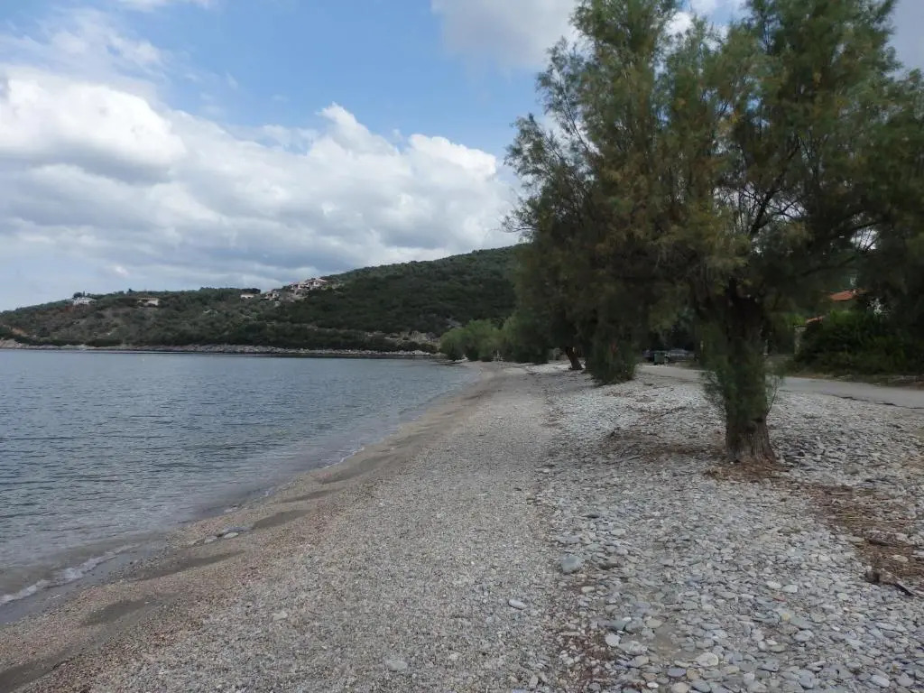 The Small House in the Olive Grove