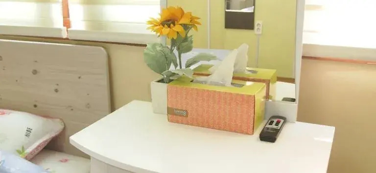 Town Guesthouse 3