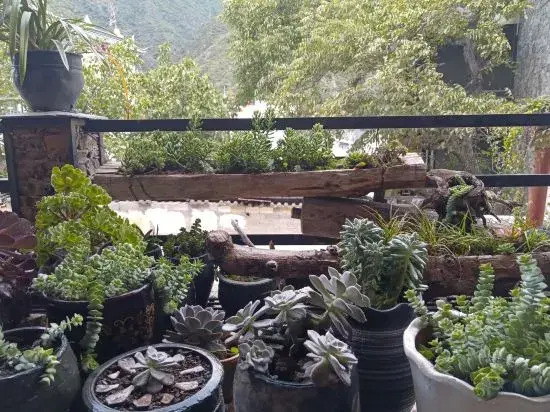Dechenz Middle Homestay