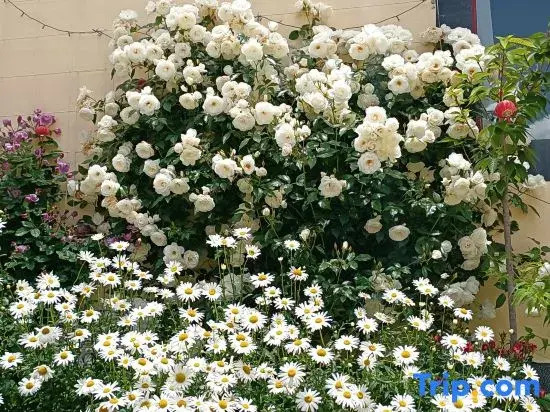 Yilu Lihua Homestay
