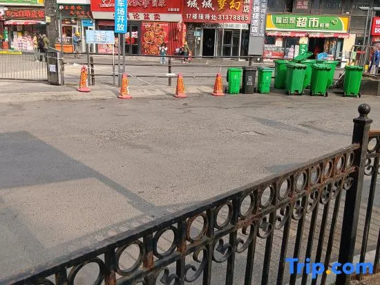 qingxin