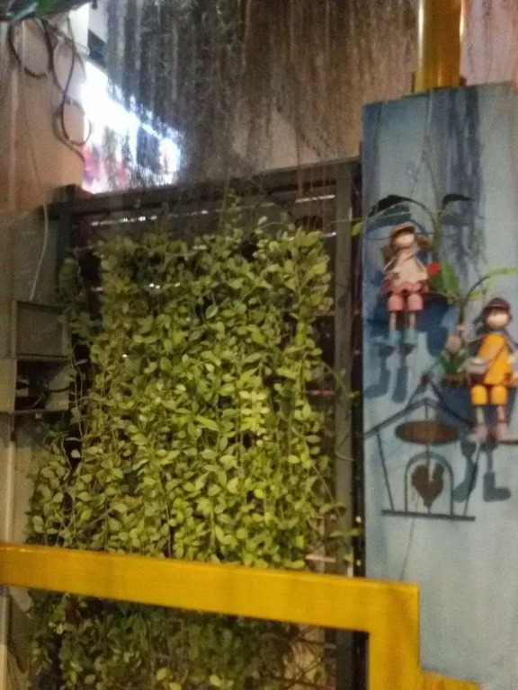 Indie House at Nimman