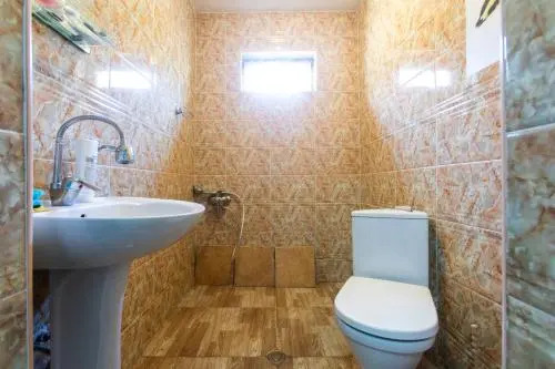 Vintage Hostel Stepantsminda