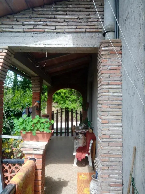 La casa di Lili