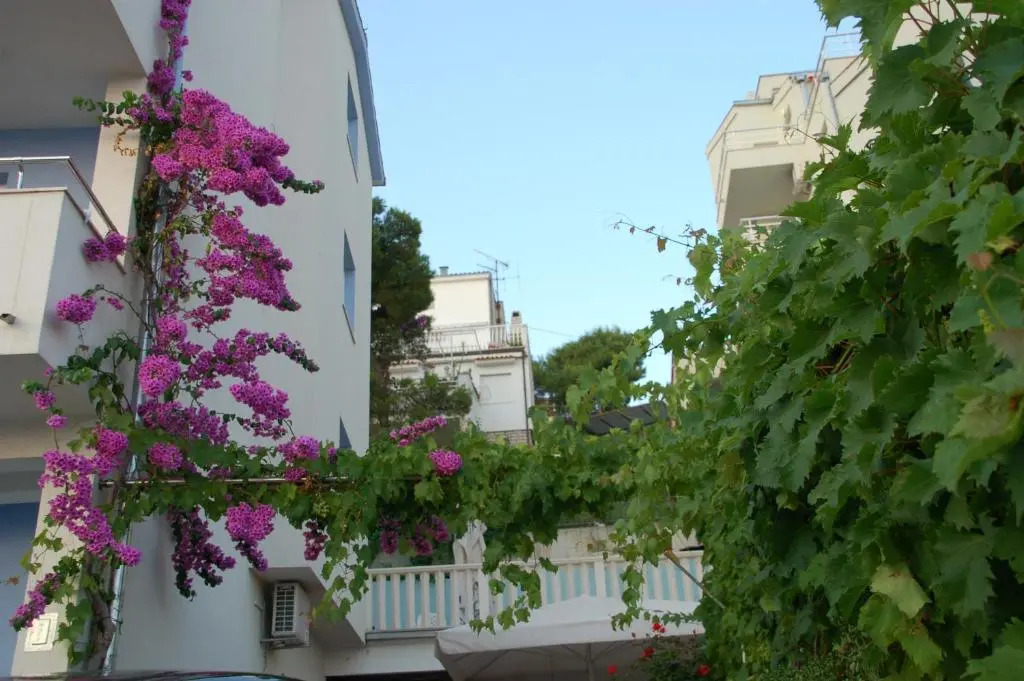Apartments Alajbeg