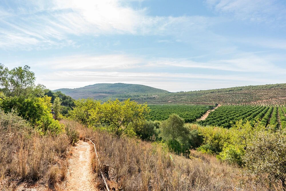 Safari Tent With Private Pool in Albufeira