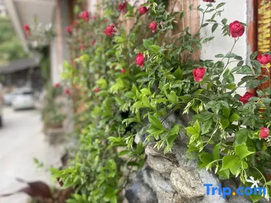 Yueziju Homestay