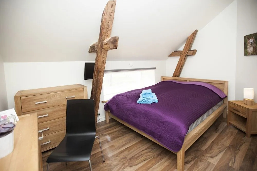 Norrängens Alpacka - Det lilla boutiquehotellet med en fluffy twist