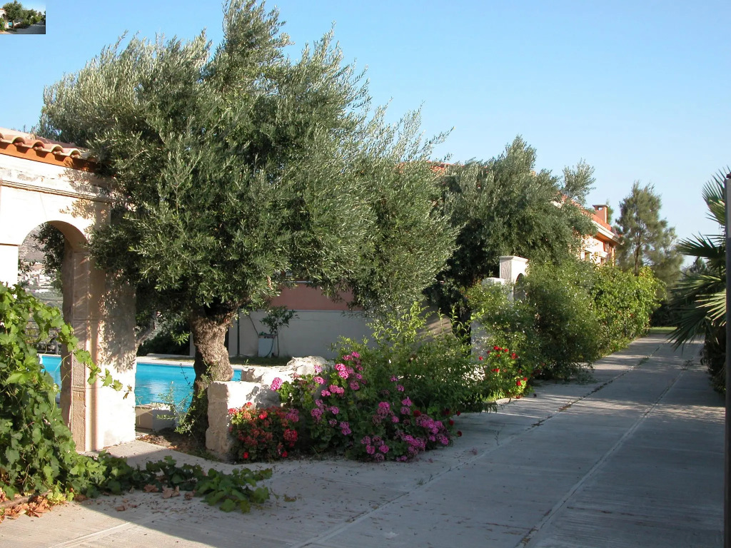 Villa Despoina in Malades