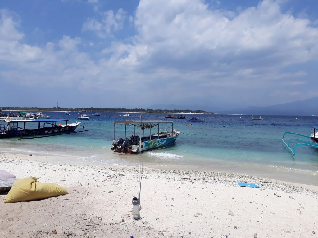 Dream Divers Resort