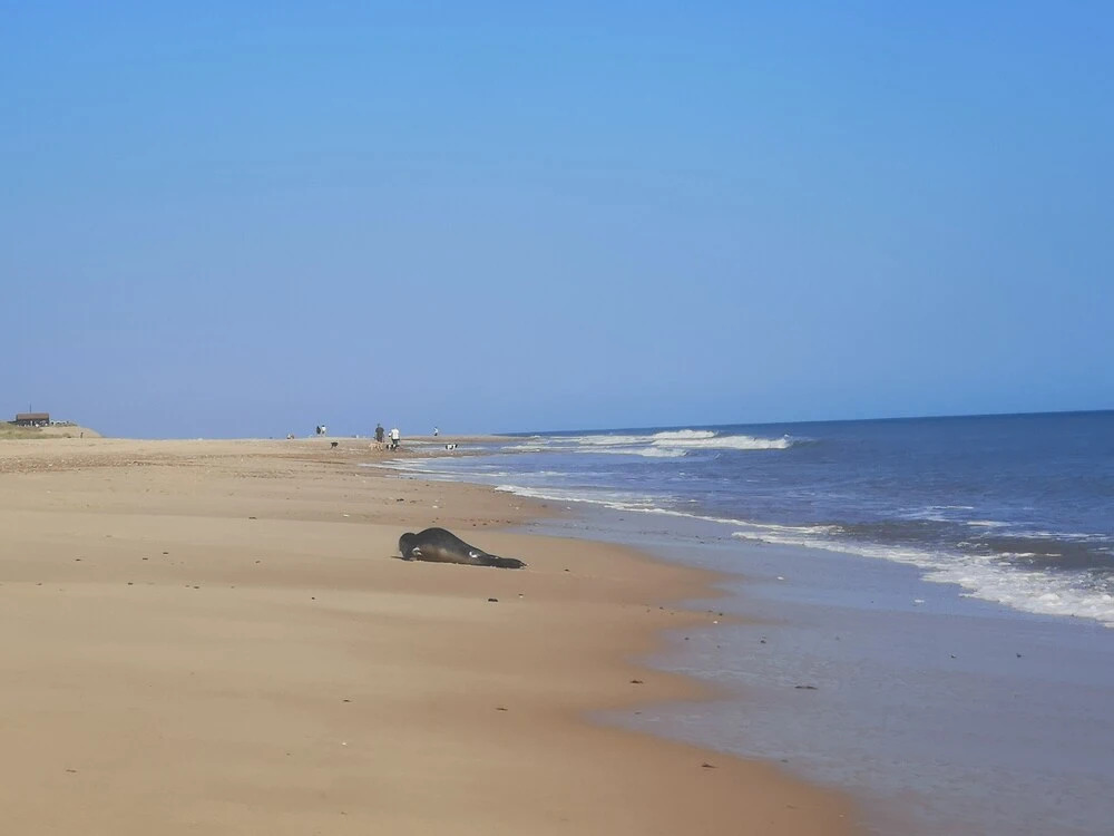 Sea Breeze Holiday Chalet, Convenient for Beach