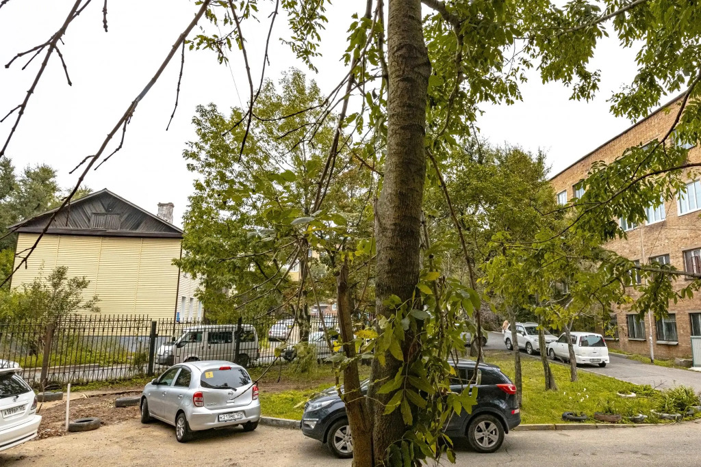 Top house на улице Авраменко