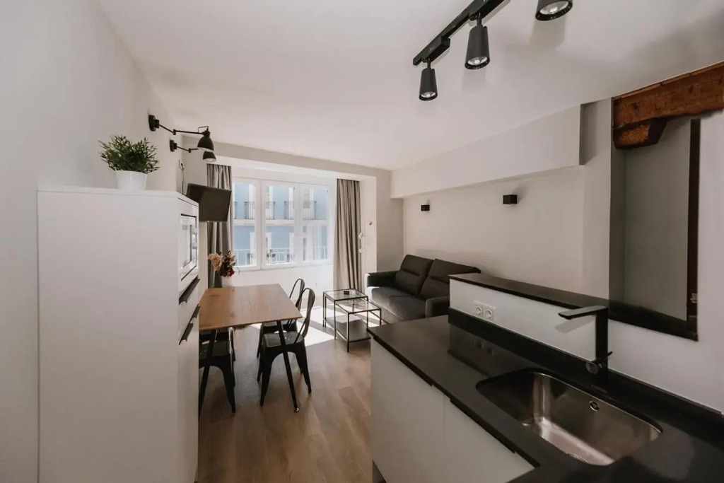 Apartamentos BURGOSUITES