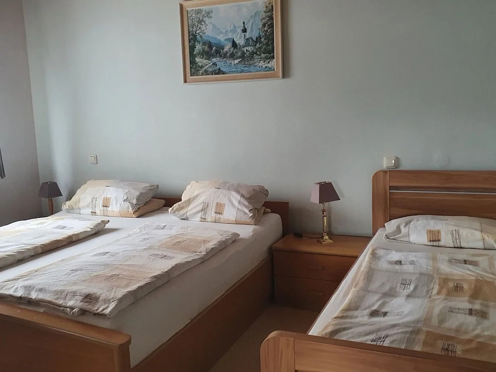Large detached holiday home in Hesse with private garden and terrace