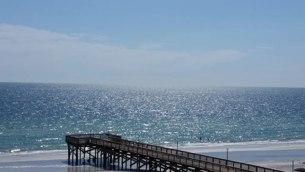 Beach Palms 409