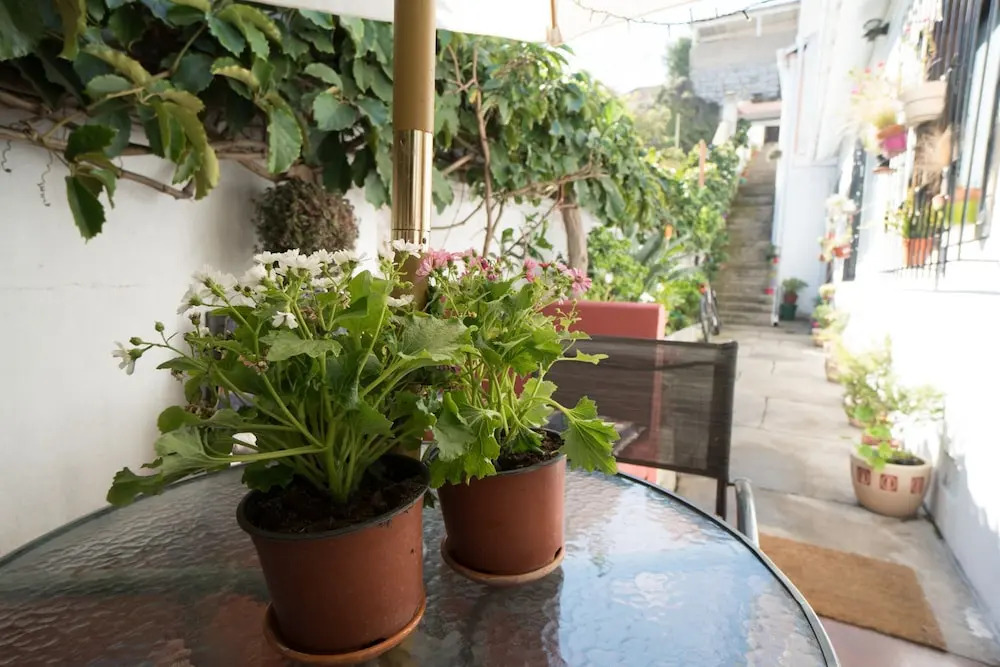 Hostal Recreo