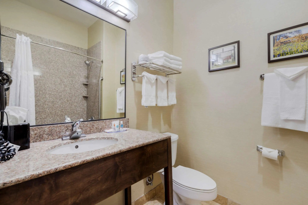 Comfort Suites Pflugerville - Austin North