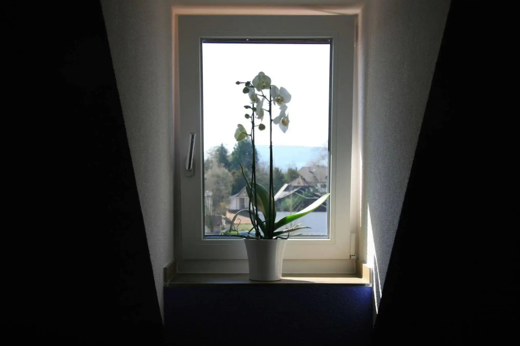 Hotel Eremitage