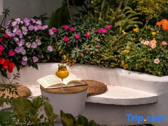 YouZe·Yunye Realm |Relaxation Time Vacation Garden Homestay (Cai Village Pier Branch)