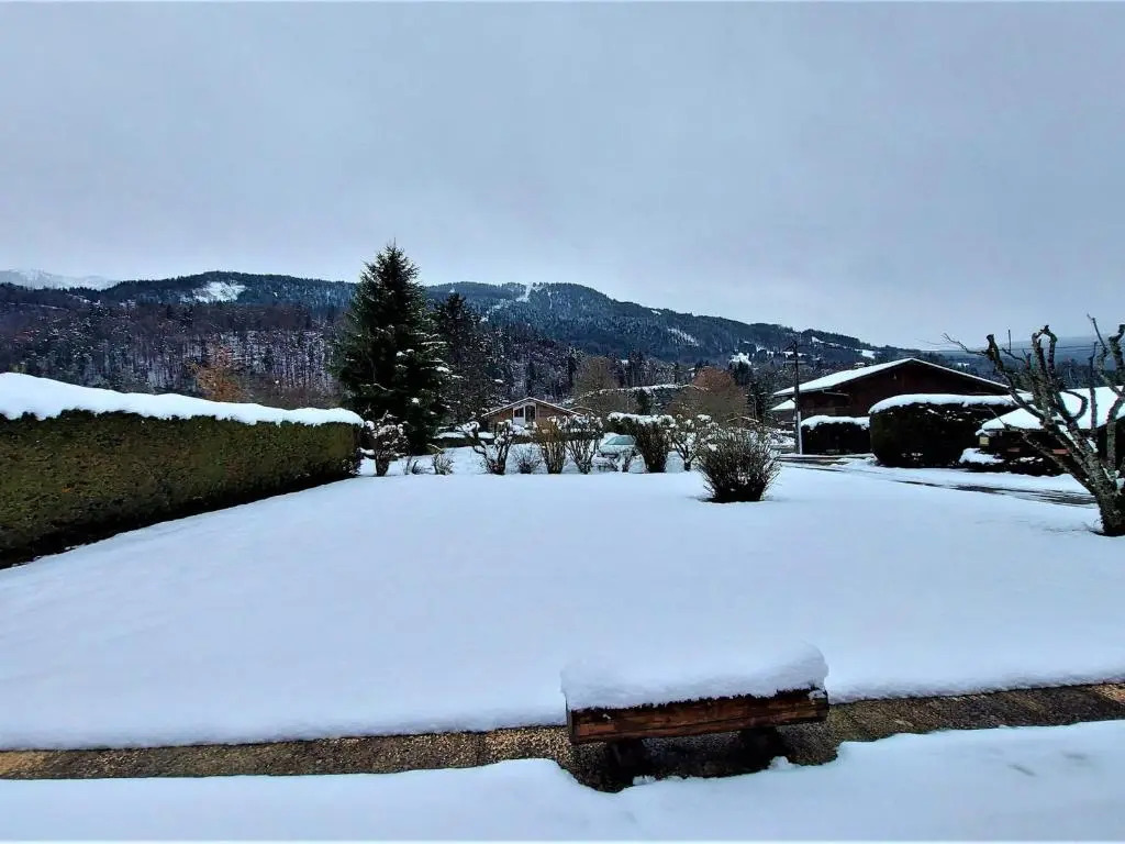 Chalet familial avec jardin et cheminée, animaux acceptés - FR-1-624-67