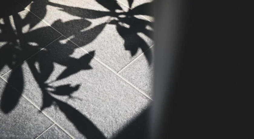 sun's great
