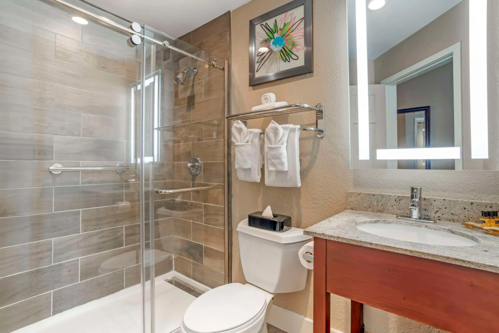 Best Western Plus Greenville I-385 Inn & Suites