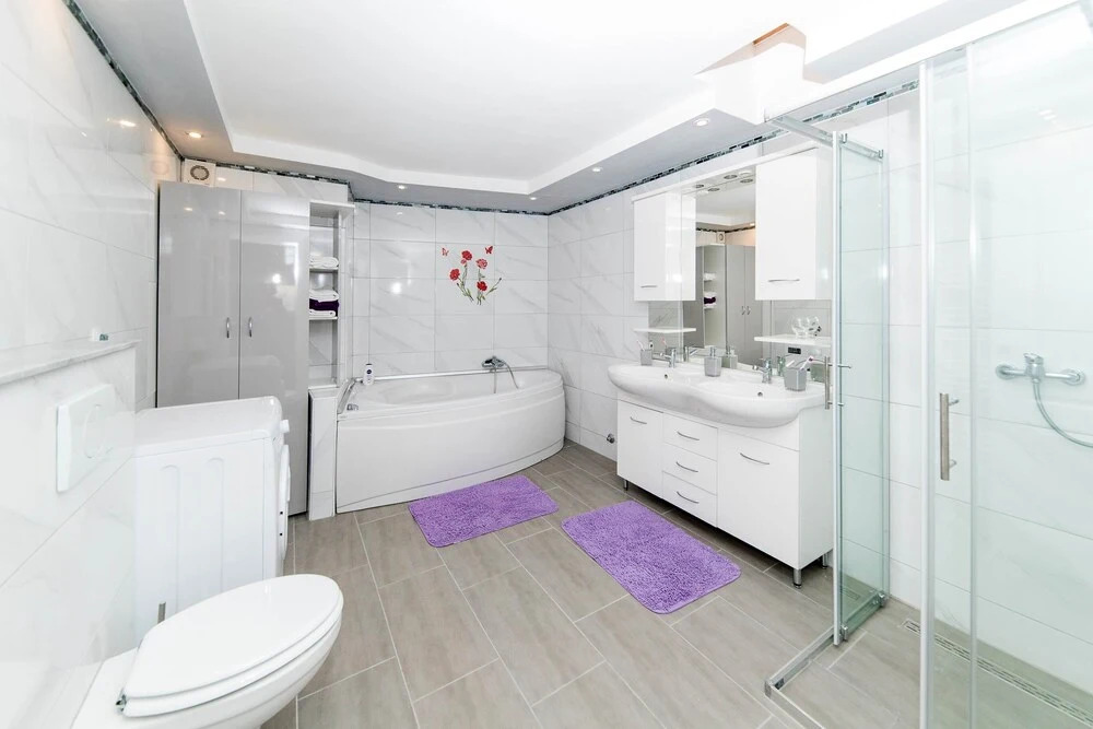 Apartments Janya