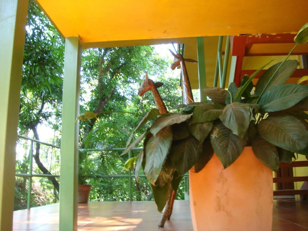 Paradise Inn