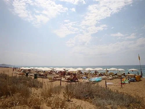 Oasi Di Selinunte