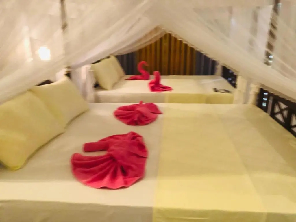 Coral Palm Villa and Apartment