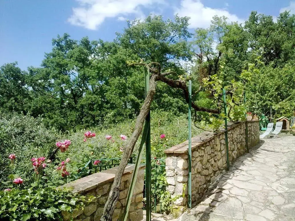 Il Querceto