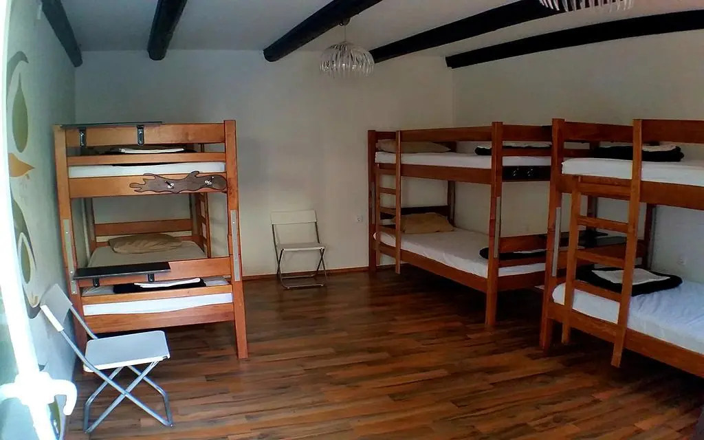The Lazy Monkey Hostel & Apartments
