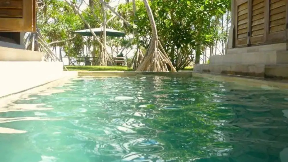 House of Palms