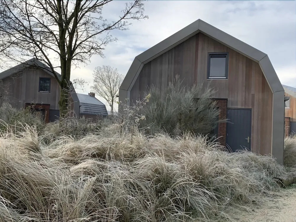 Duinroos Egmond nr 16