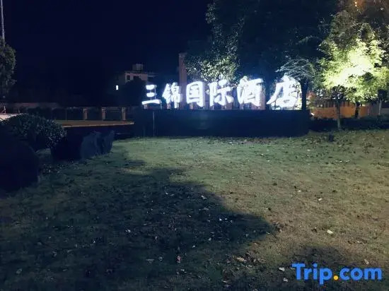 Sanjin International Hotel (Wuyi Station Development Avenue)