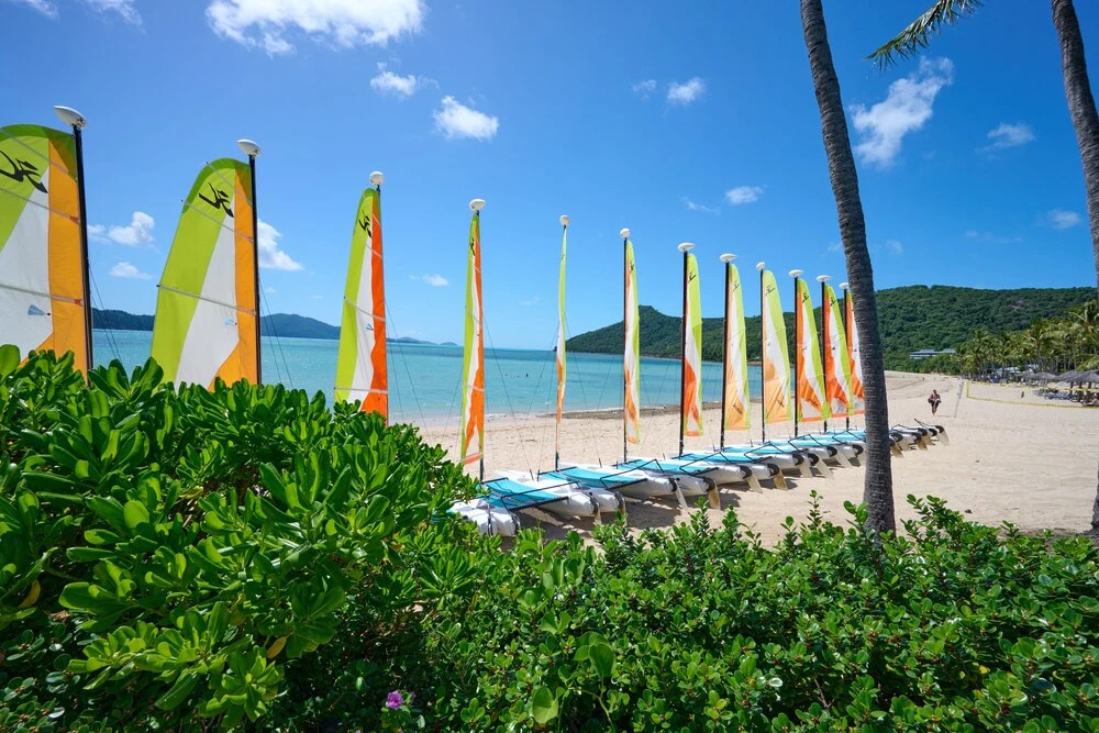 Heliconia Grove 9