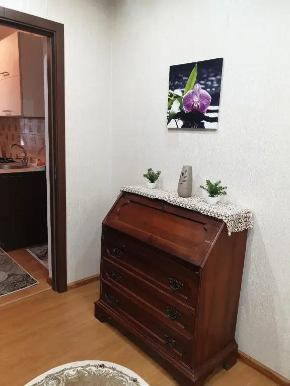 Alin Apartament