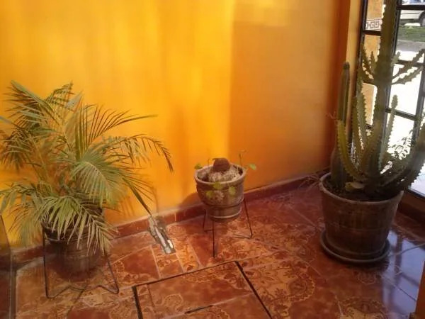 Hostal Real Alcazar