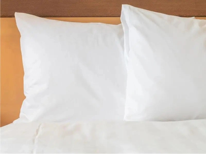Holiday Inn Express & Suites Los Mochis Centro