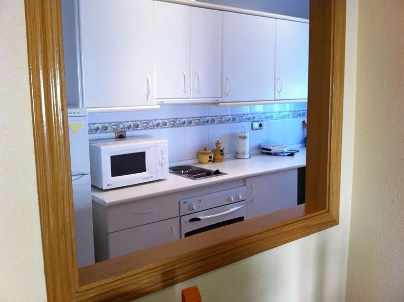 Apartment in Santa Pola 101368