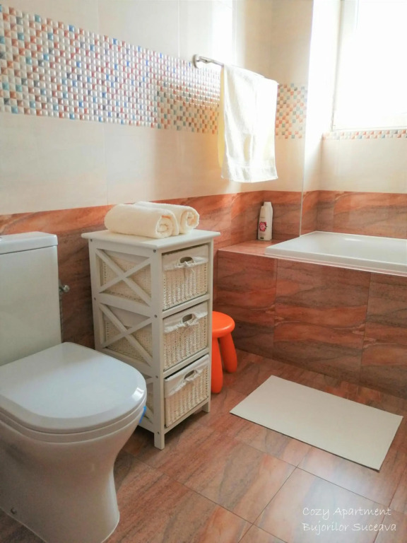 Cozy Apartment Bujorilor Suceava