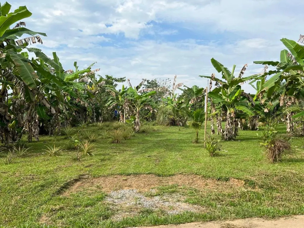 Rak Suan Homestay รักสวนโฮมสเตย์