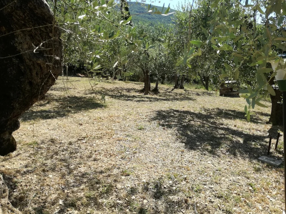 LAgrifoglio di Assisi Residenza di Campagna